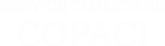 Servicii Toaletare Copaci